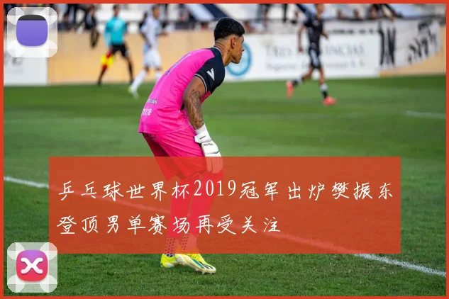 乒乓球世界杯2019冠军出炉樊振东登顶男单赛场再受关注