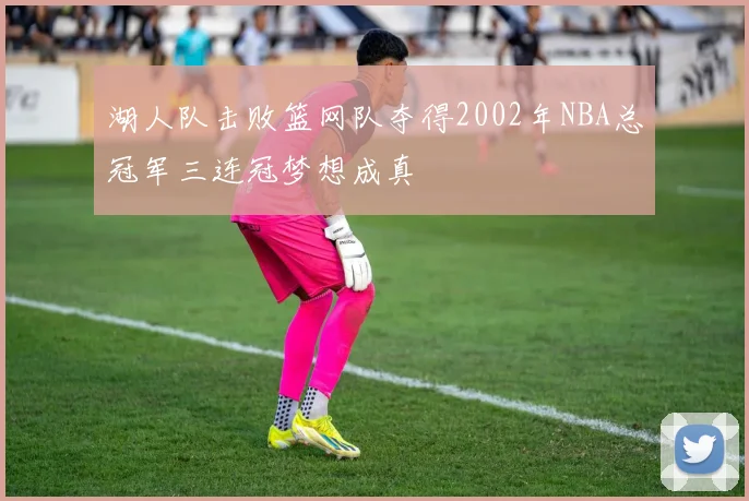 湖人队击败篮网队夺得2002年NBA总冠军三连冠梦想成真