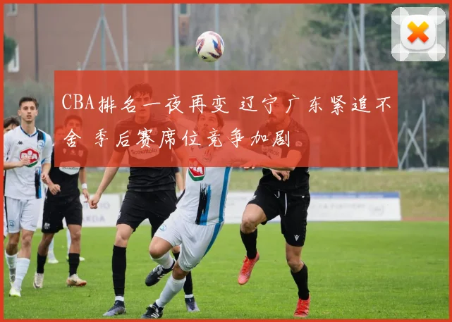 CBA排名一夜再变 辽宁广东紧追不舍 季后赛席位竞争加剧
