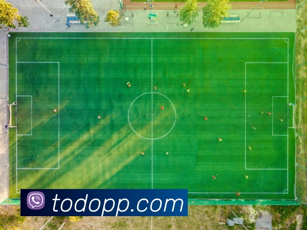 世界杯在线网站APP 封面图